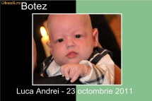 INVITATII SI ALBUME FOTO foto