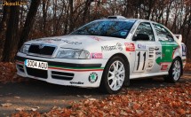 Skoda Octavia WRC Rally, 2004 foto