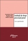 Institutii de drept procesual penal - 112939 foto