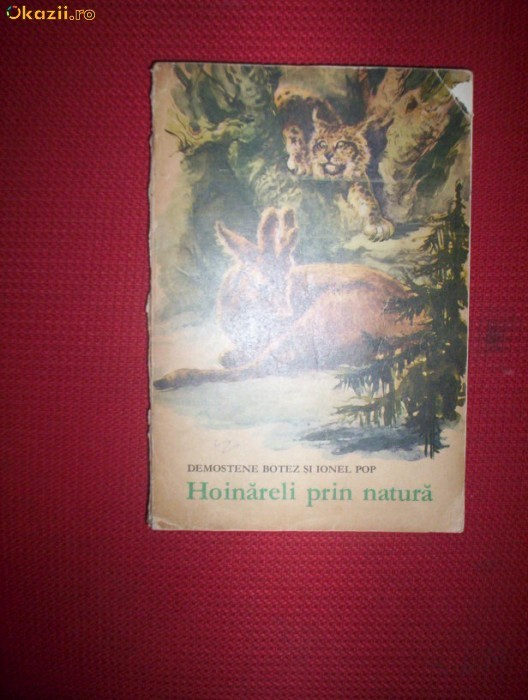 Hoinareli prin natura(-ilustratii-Coca Cretoiu Seinescu)-Demostene Botez/Ionel Pop foto mare