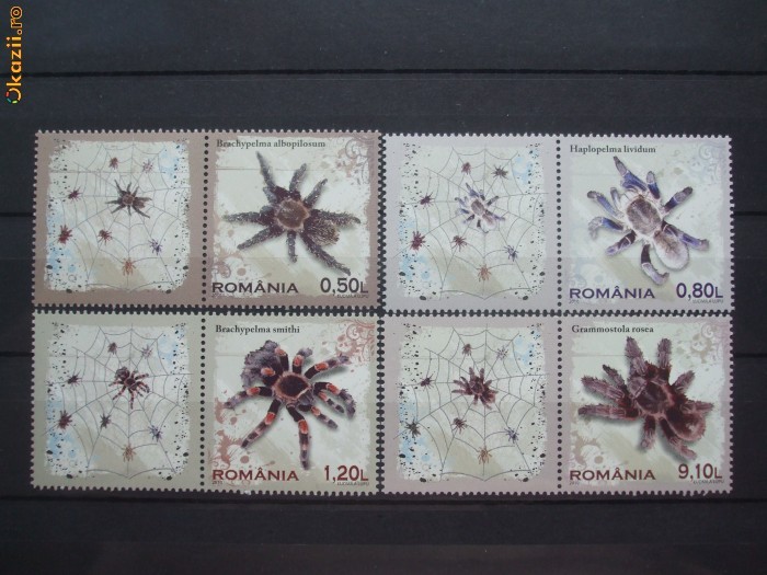 2010 Romania  Tarantule serie cu vinieta. foto mare