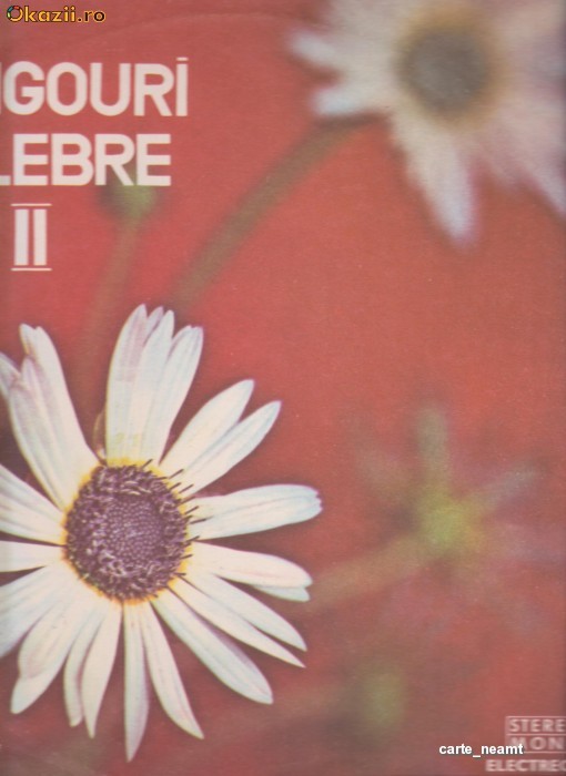 TANGOURI CELEBRE II ~VINIL foto mare
