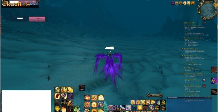 cont wow cata full fl hc 3/8 ds foto mare